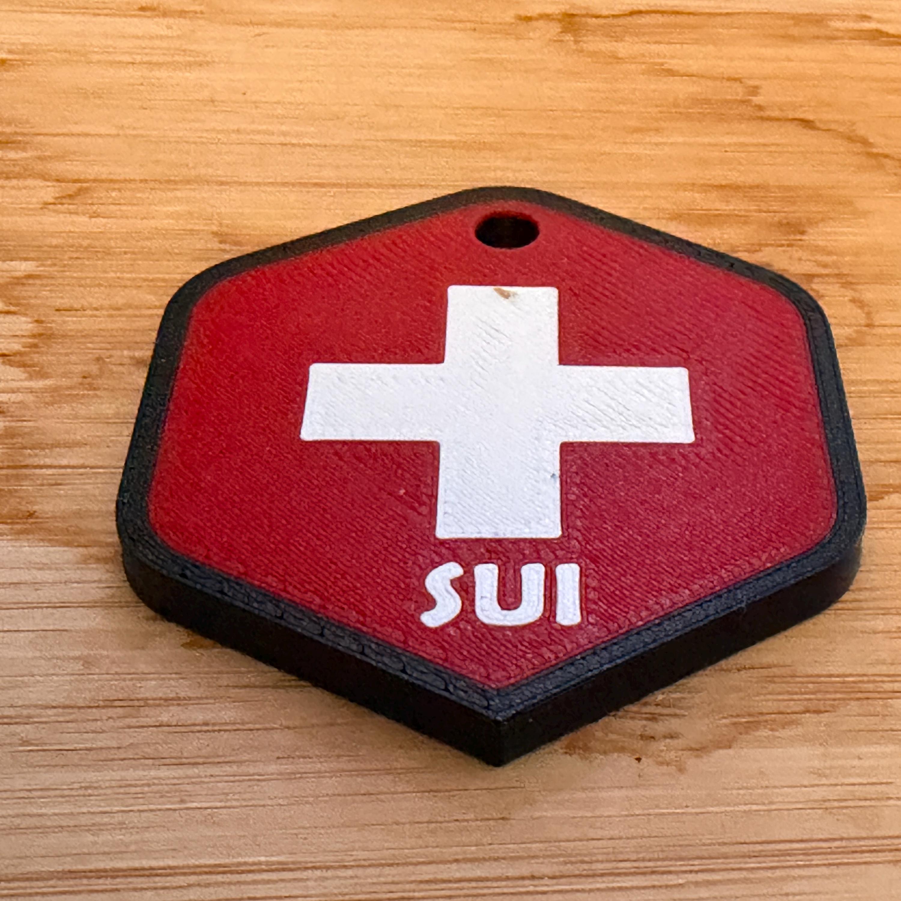 3D Printed Country Flag Keychain, World Cup 2026 Soccer Fan Bag Charm angle 7